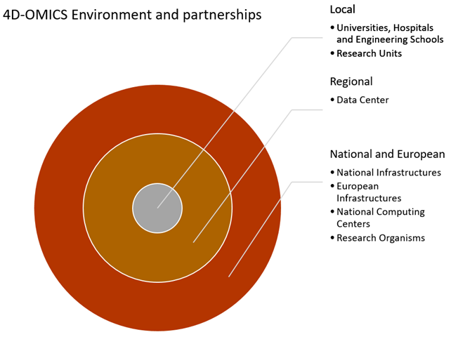 Environment & Partnerships